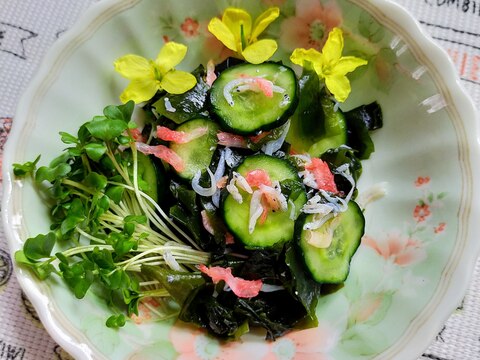 胡瓜とわかめの酢の物